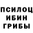 Псилоцибиновые грибы Cubensis frostbyte781