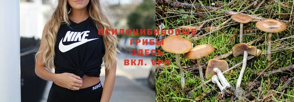 ГАЛЛЮЦИНОГЕННЫЕ ГРИБЫ Алексин