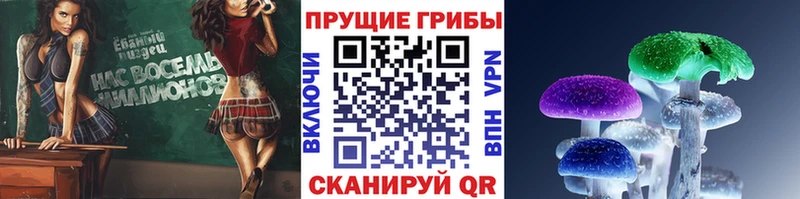 Галлюциногенные грибы MAGIC MUSHROOMS Красногорск